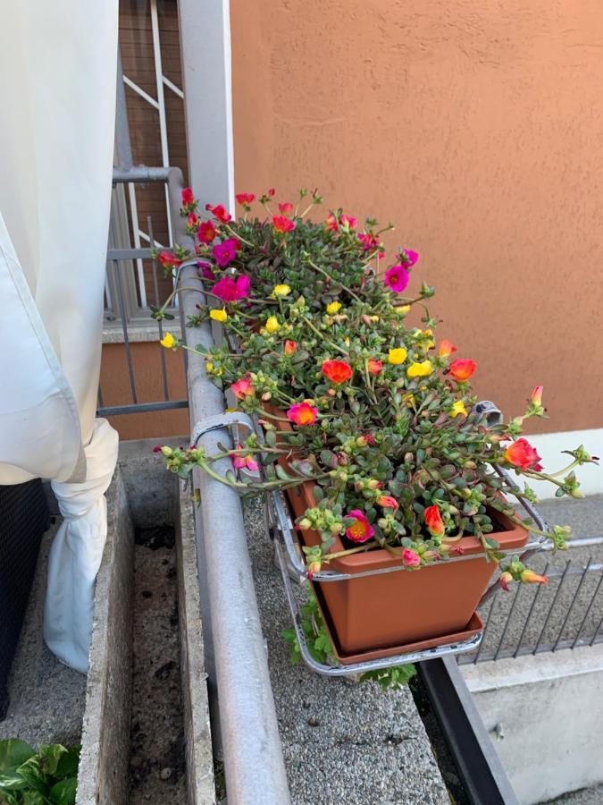 New Verona Business And Fun G B Rossi Friendly 외부 사진